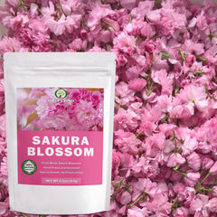 HOLFLYING whole blossom rehydrating in teacup, showcases brewing clarity and scent