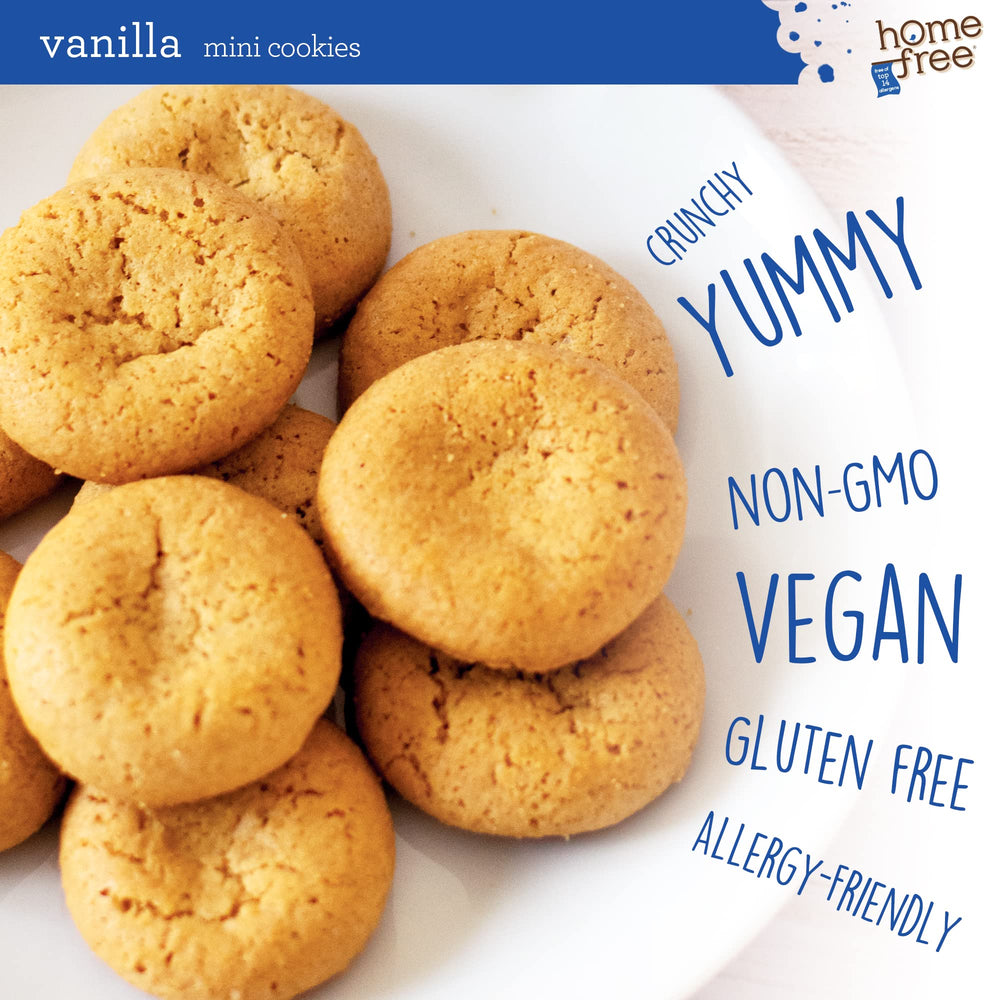 Homefree pack tucked into lunchbox showing allergy-friendly snack option for kids