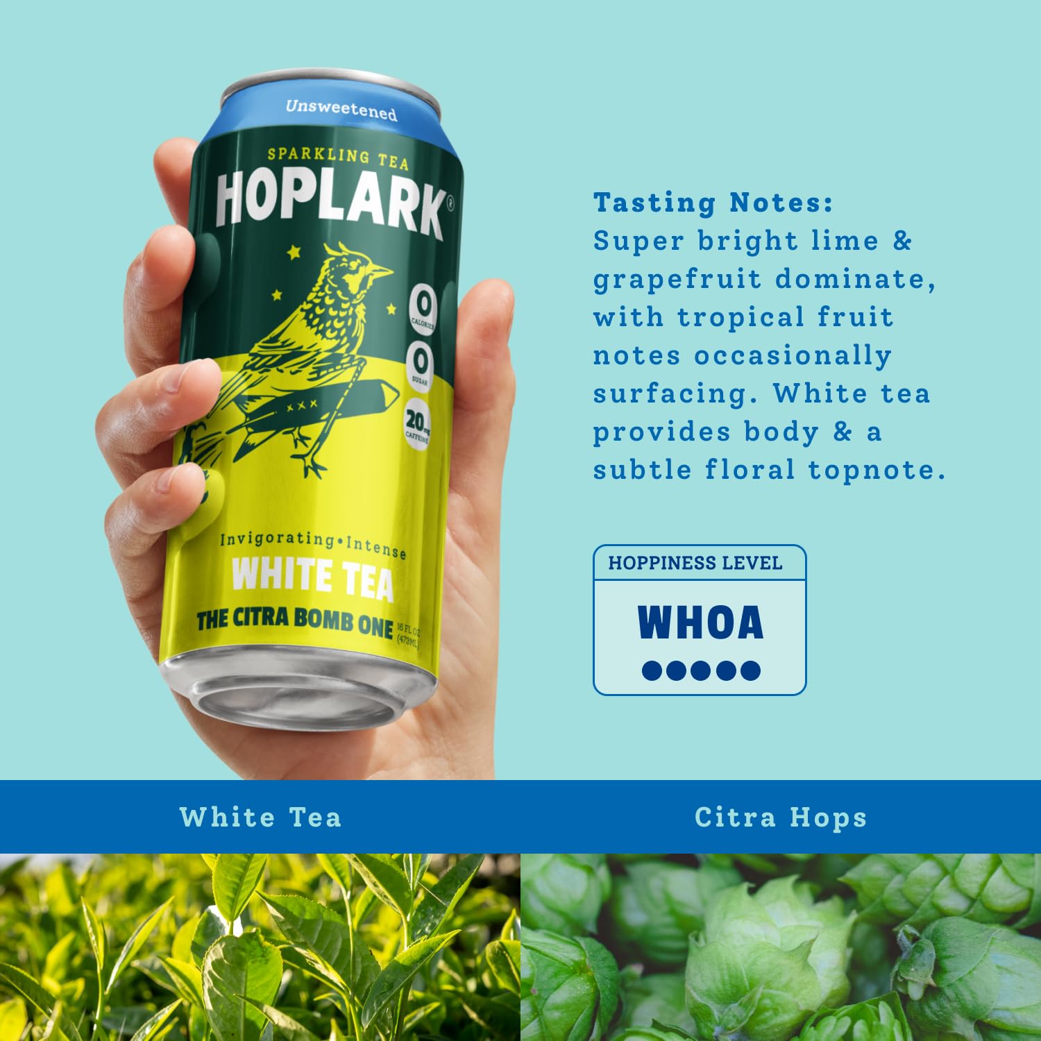 Person enjoying Hoplark outdoors illustrating refreshment and flavor-forward sipping
