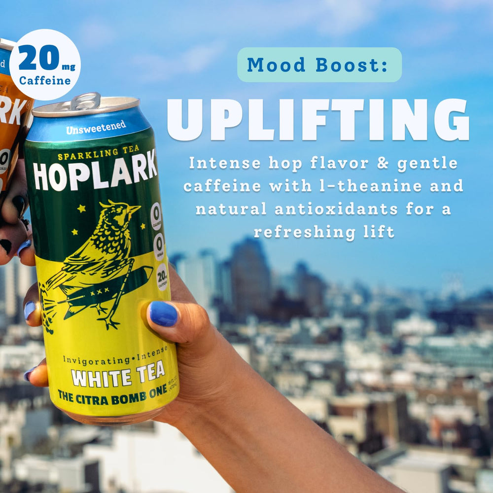 Hoplark can next to a glass for scale showing 16 fl oz single-serve size