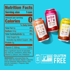 HOPWTR Iced Tea & Lemonade can label emphasizing citrus character and no alcohol