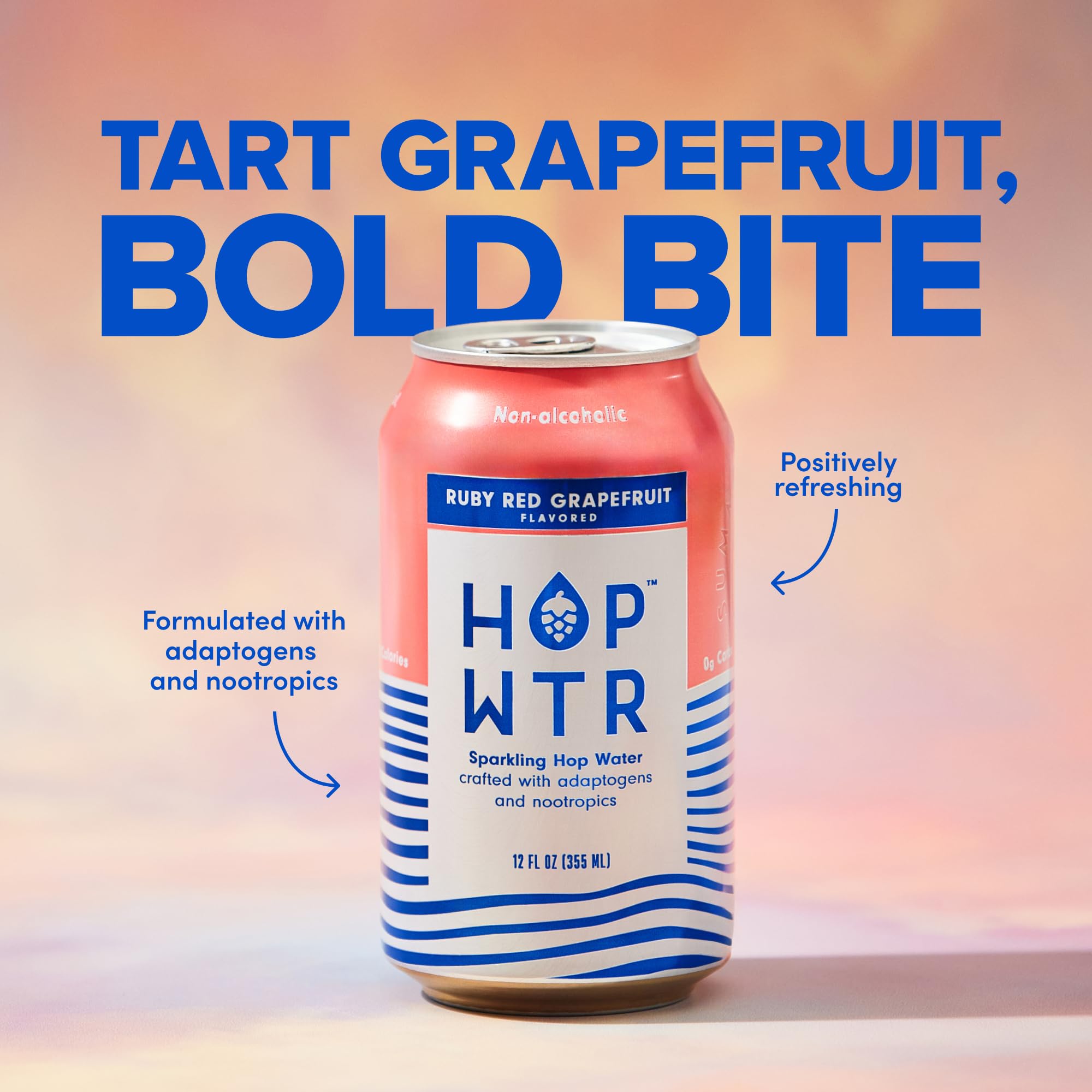 HOPWTR 12-pack inside fridge ready to serve and keep chilled