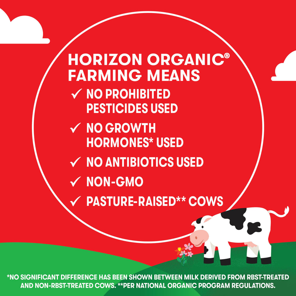 Family enjoying Horizon Organic strawberry milk at a picnic outdoors