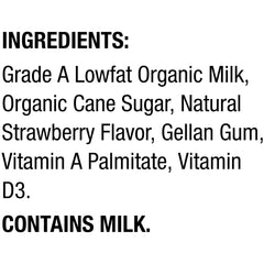 Horizon Organic strawberry milk in a child’s lunchbox for school