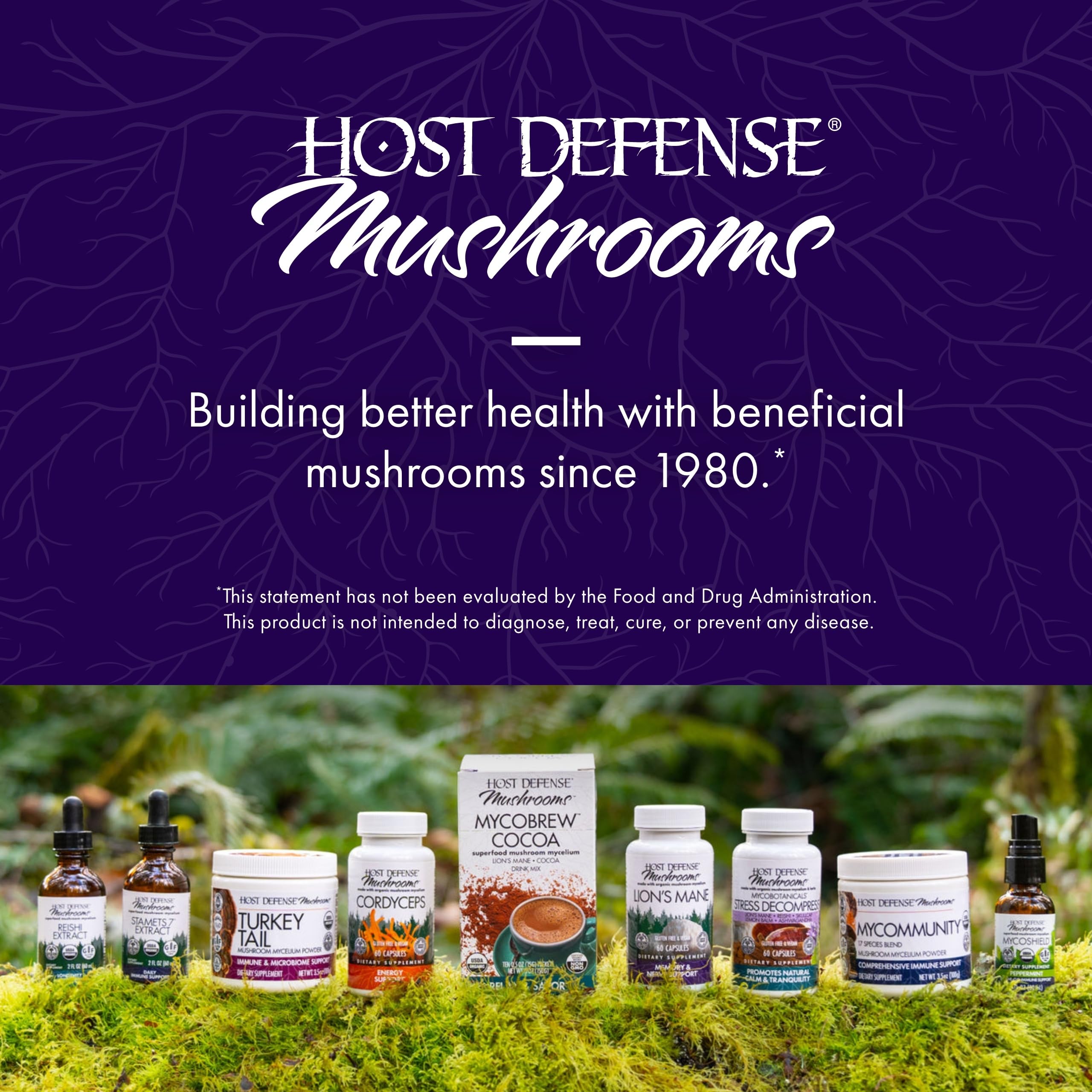 Host Defense matcha in a kitchen scene showing easy preparation and daily use