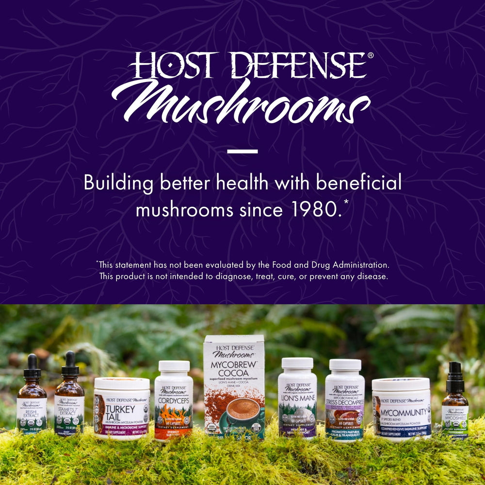 Host Defense matcha in a kitchen scene showing easy preparation and daily use