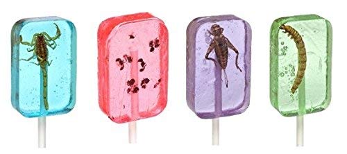 Hotlix scorpion lollipop front view showcasing real scorpion and clear candy