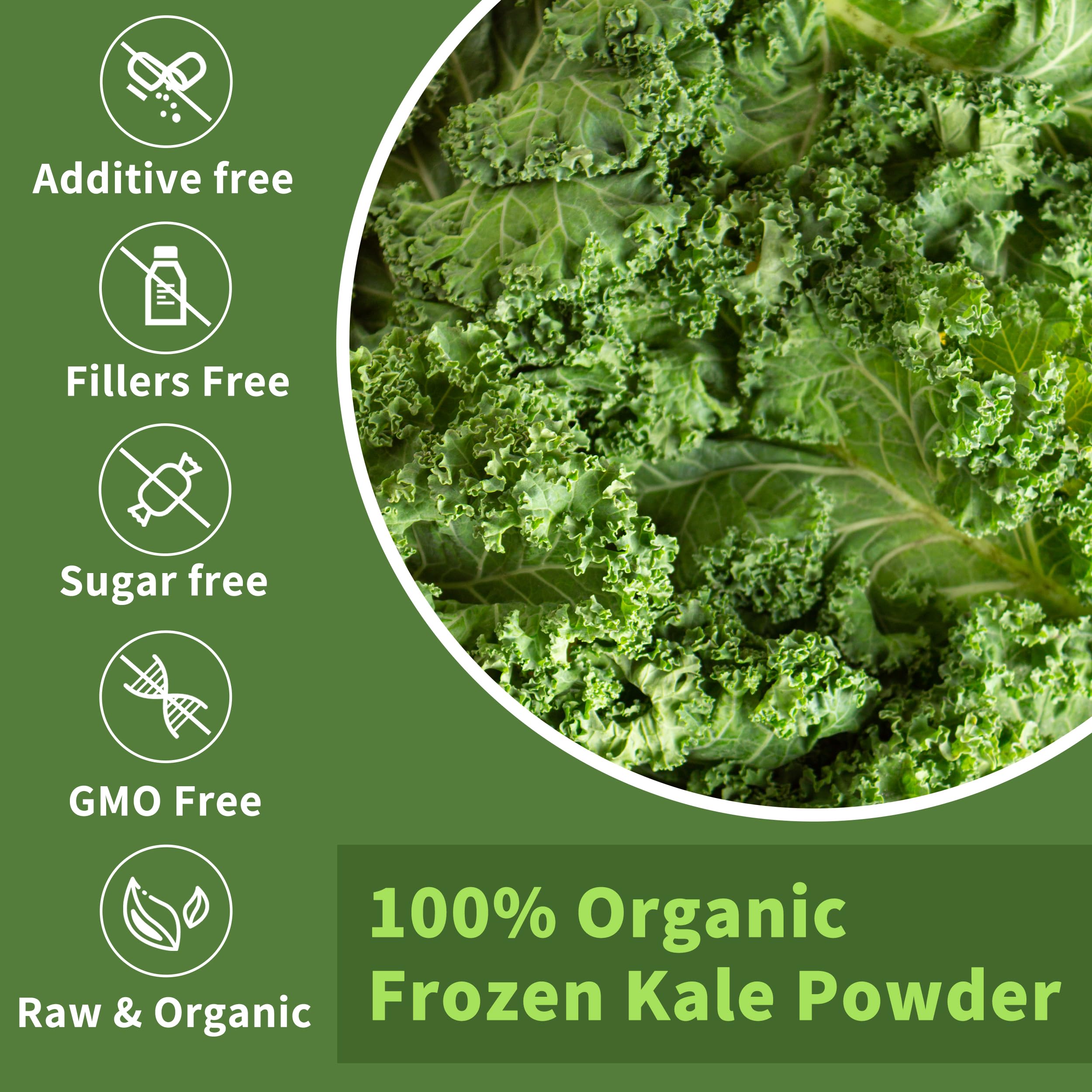 Hudetex open jar closeup texture of fine freeze-dried kale powder for easy mixing
