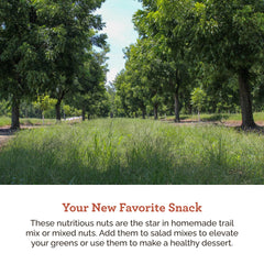 Hudson Pecan Company open pouch with visible pecan halves for convenience