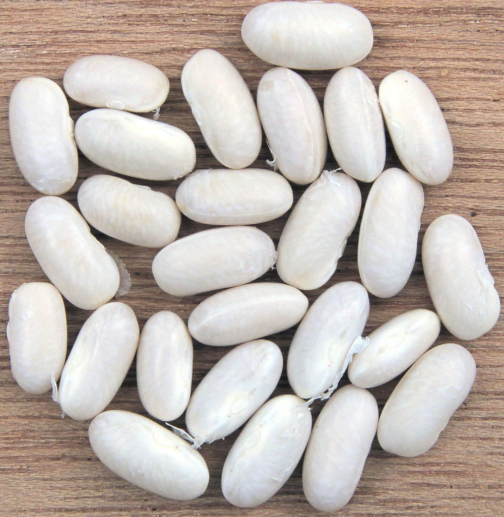 Hunza Natural Foods cooked cannellini beans in a bowl ready to serve, illustrating convenience and flavor