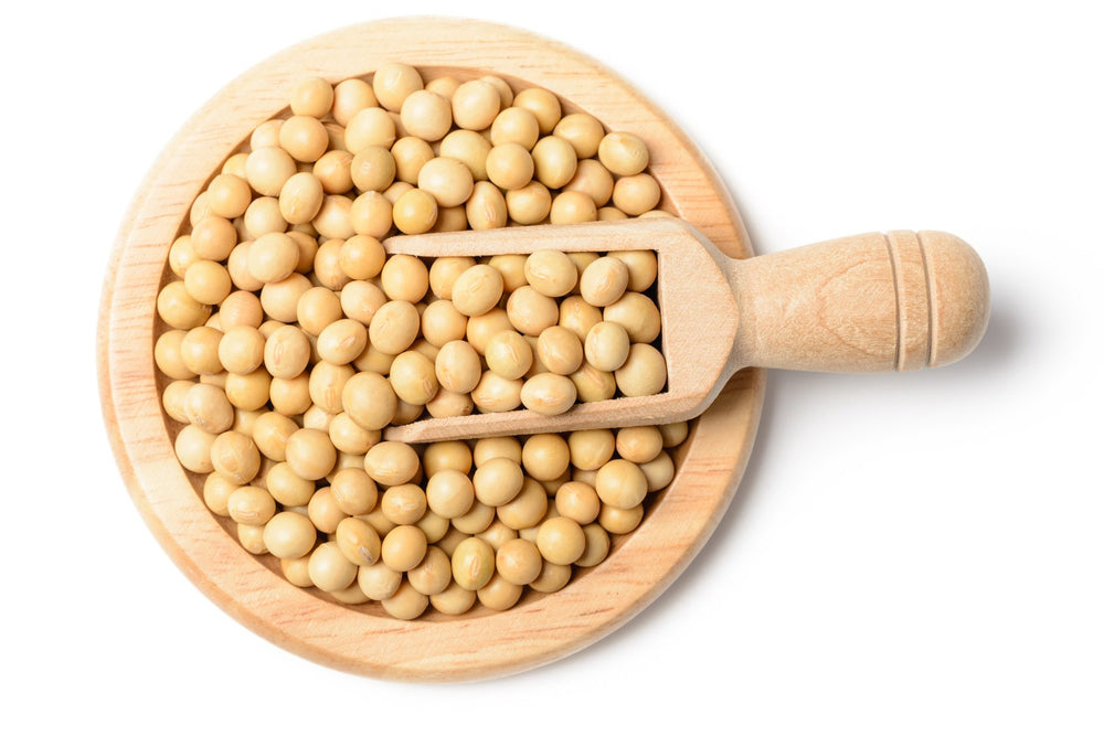 Hunza Natural Foods prepared meal bowl using soybeans for versatile recipe ideas