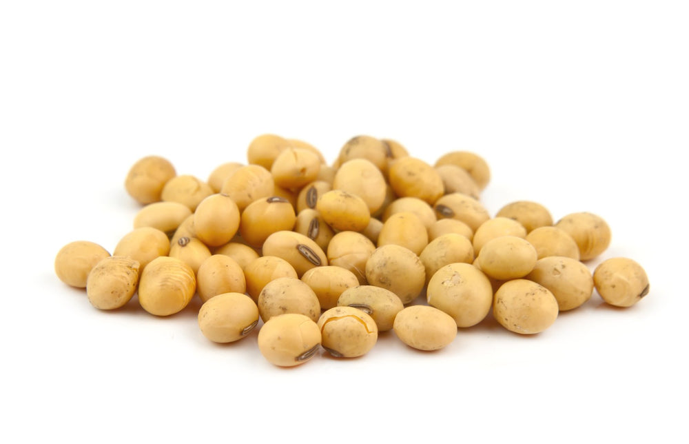 Hunza Natural Foods dry soybeans poured into a bowl ready for soaking benefit