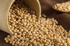 Hunza Natural Foods blended soy milk process demonstrating creamy plant-based milk