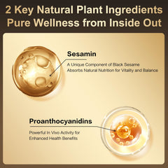 I WUGU ingredients spread showing walnuts, black sesame, chia and quinoa for nutrient density