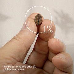 illy bean closeup highlighting roast and consistent bean quality benefit