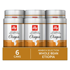 illy whole beans close-up highlighting smooth surface and aromatic quality