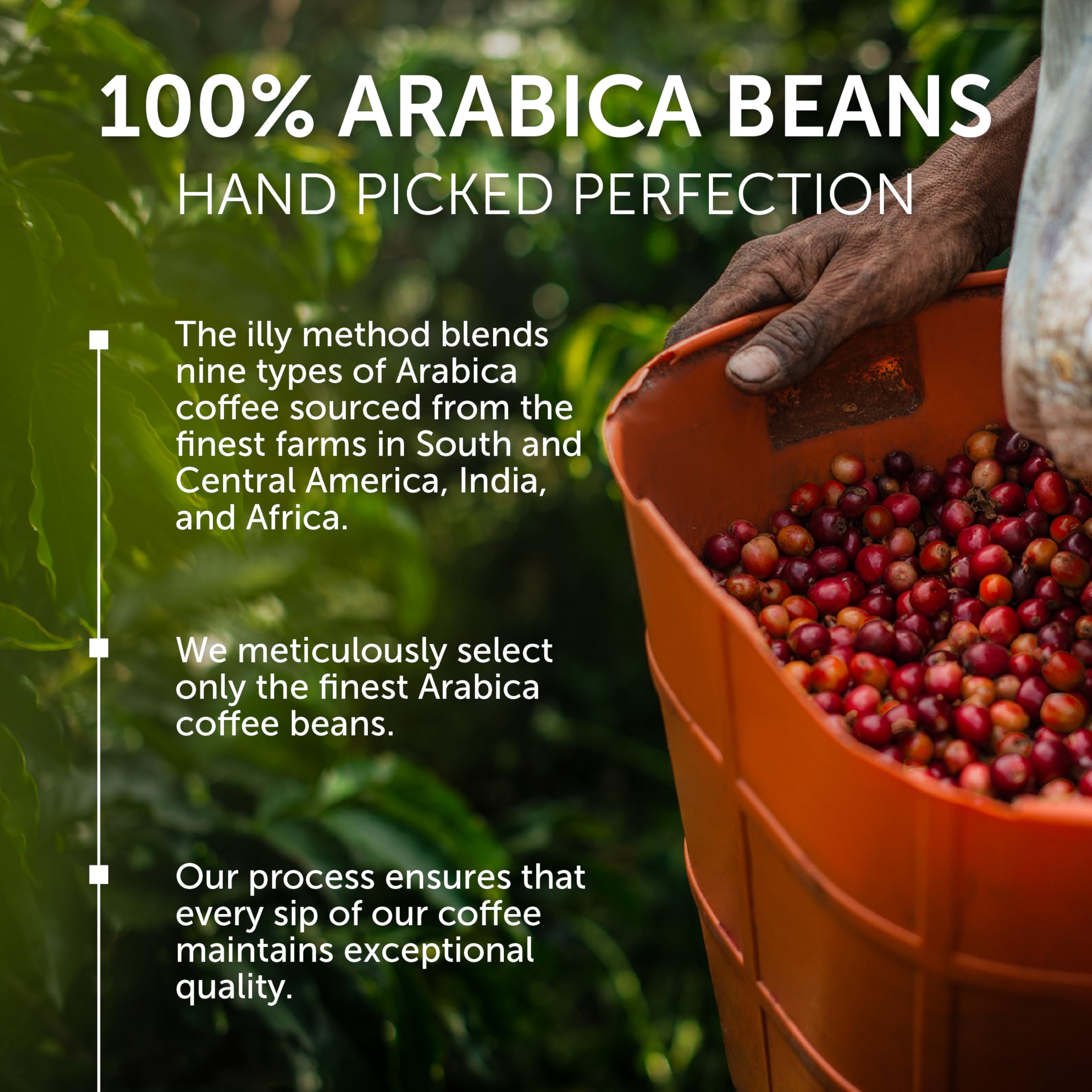 pouring lungo into cup from illy capsule highlighting rich crema and aroma