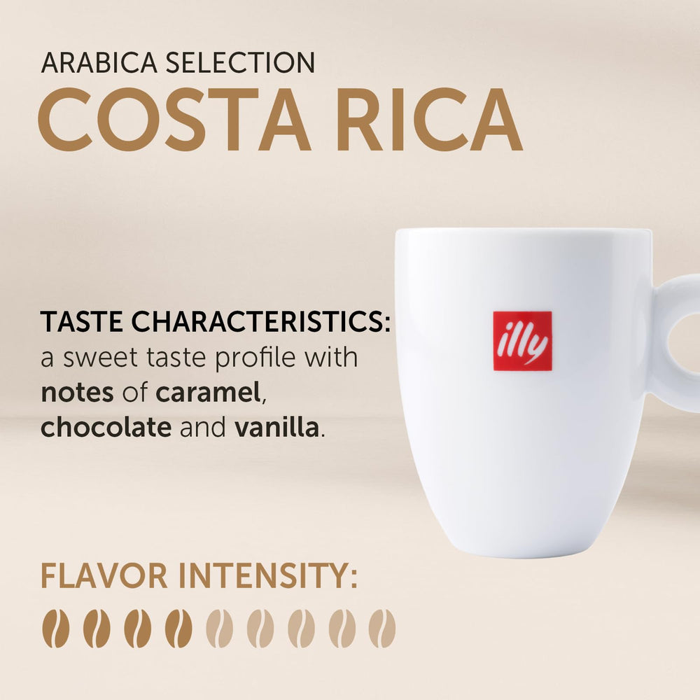 illy close-up of whole bean texture highlighting consistent medium roast quality