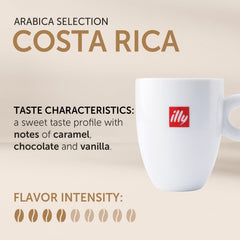 illy close-up of whole bean texture highlighting consistent medium roast quality