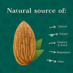 I'm A Nut close-up almond texture highlighting crunchy dry-roasted surface and wholesome taste