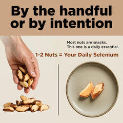 I'm A Nut close-up of raw kernel texture highlighting rich, creamy fats