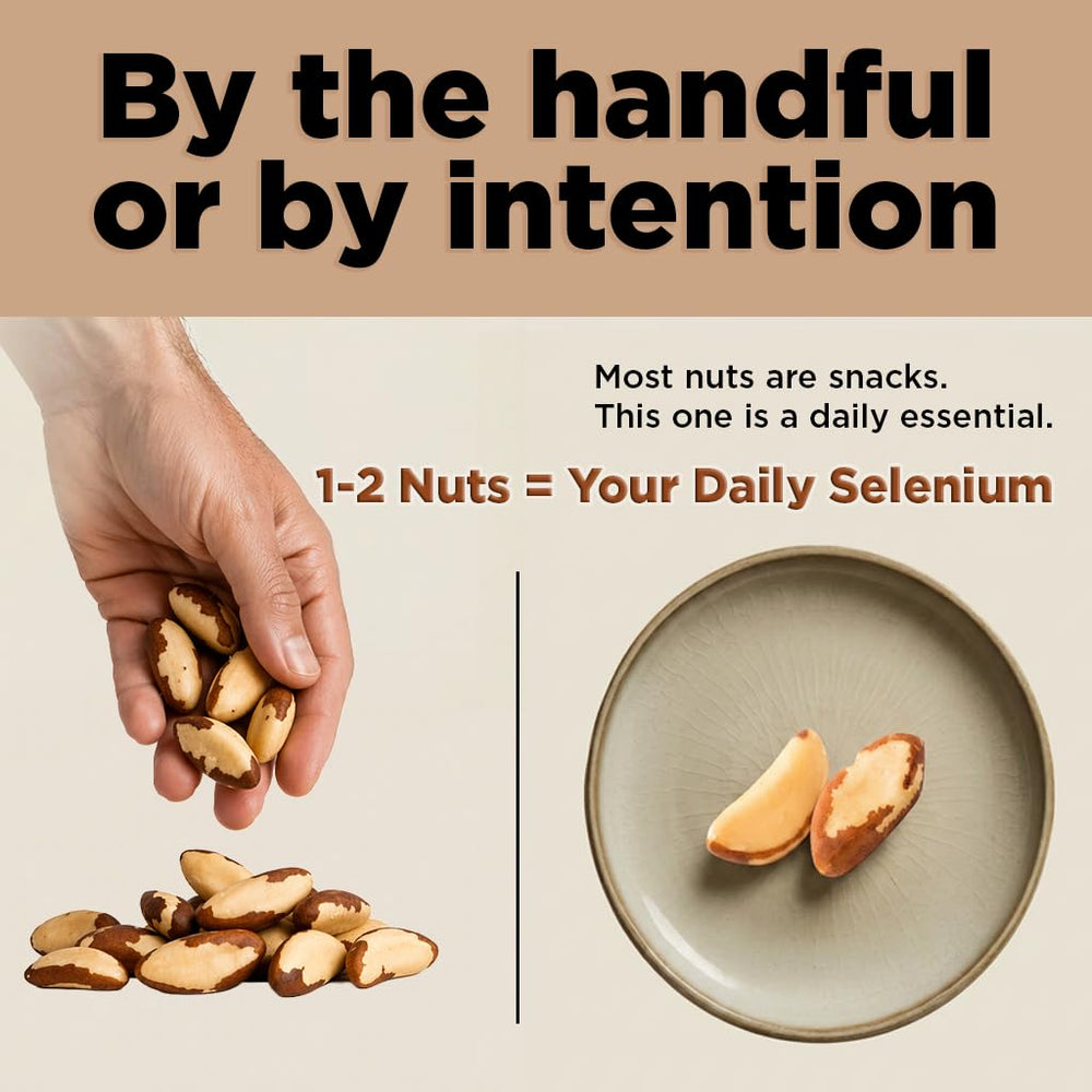 I'm A Nut close-up of whole Brazil nut shells highlighting natural origin