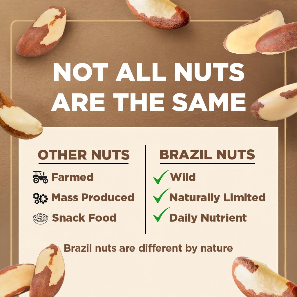 I'm A Nut being blended into smoothie for creamy plant-based protein