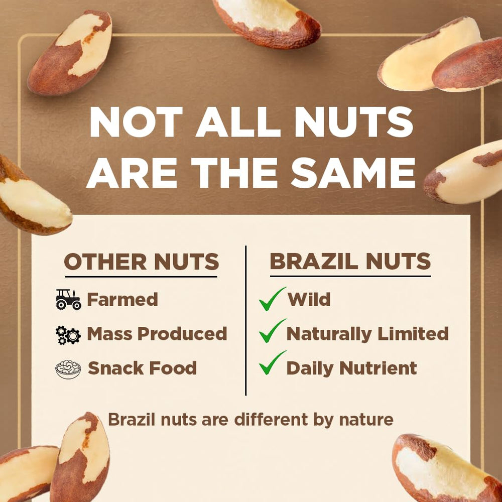 I'm A Nut being blended into smoothie for creamy plant-based protein