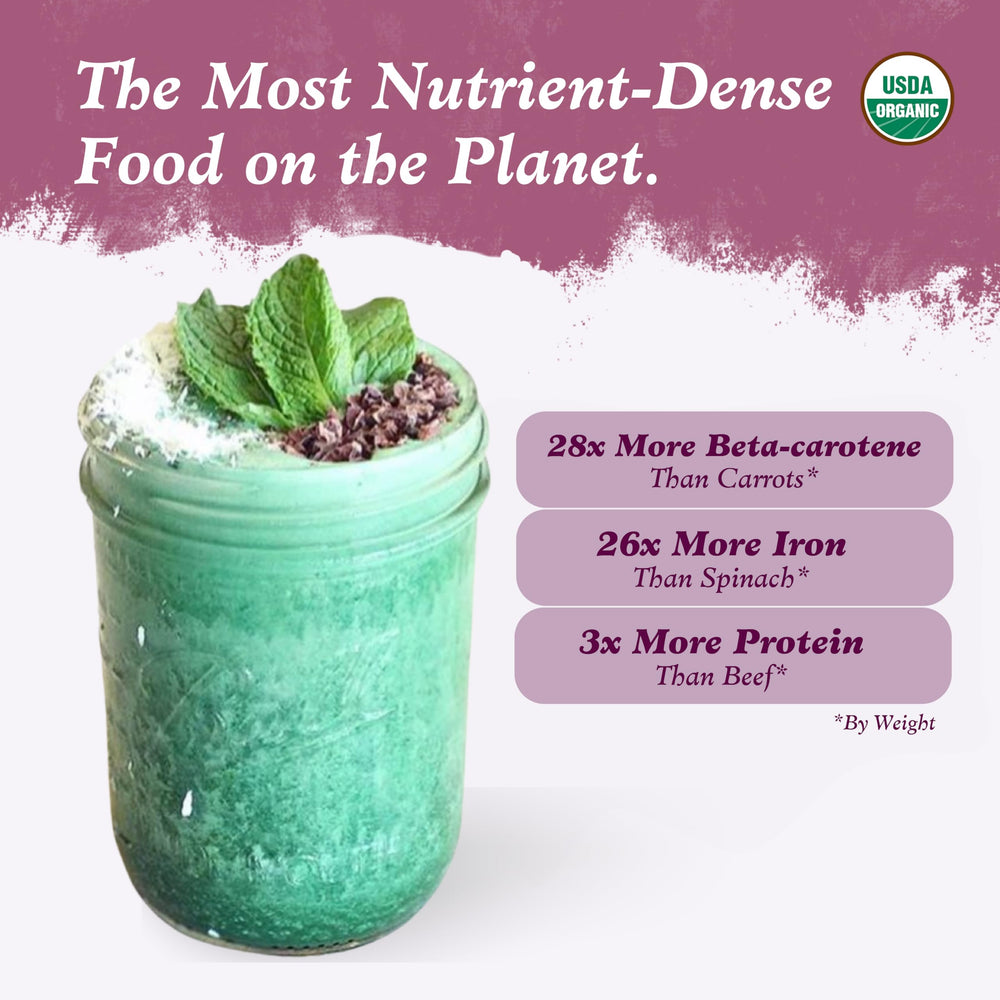 Imlak'esh Organics spirulina powder closeup highlighting fine texture and potency