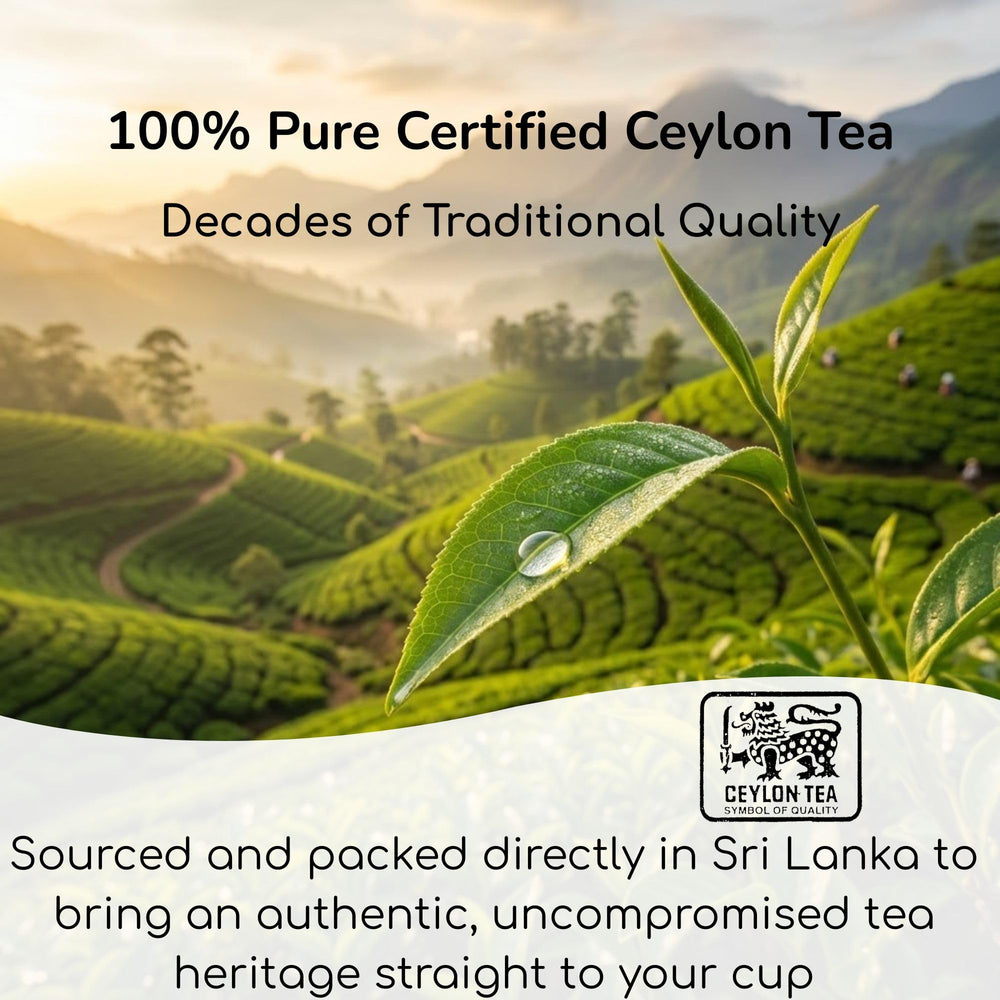 Impra tea bag in hand illustrating single-serve portability and convenience
