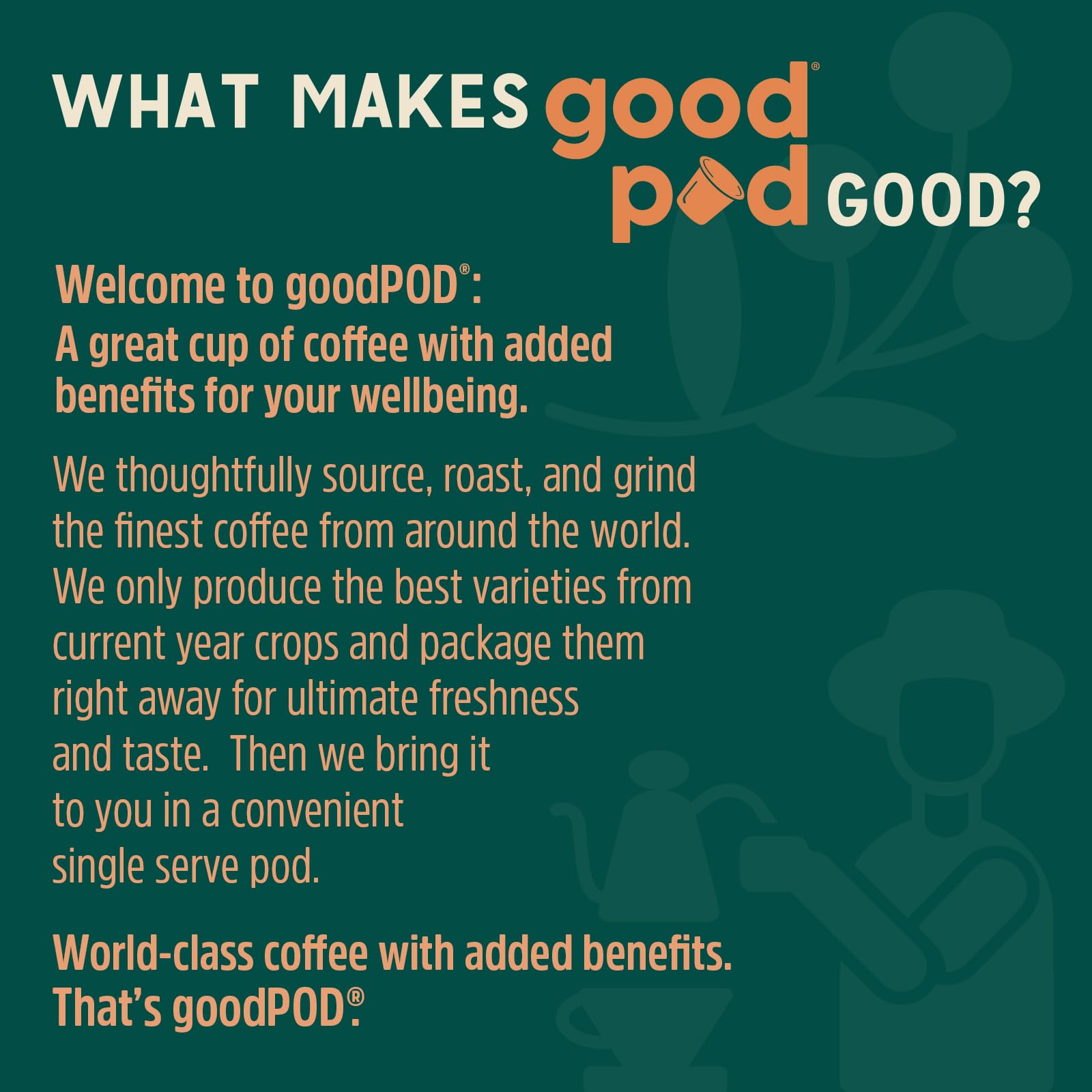 INDEPENDENCE COFFEE CO. back of box with label and ingredients, highlights organic sourcing