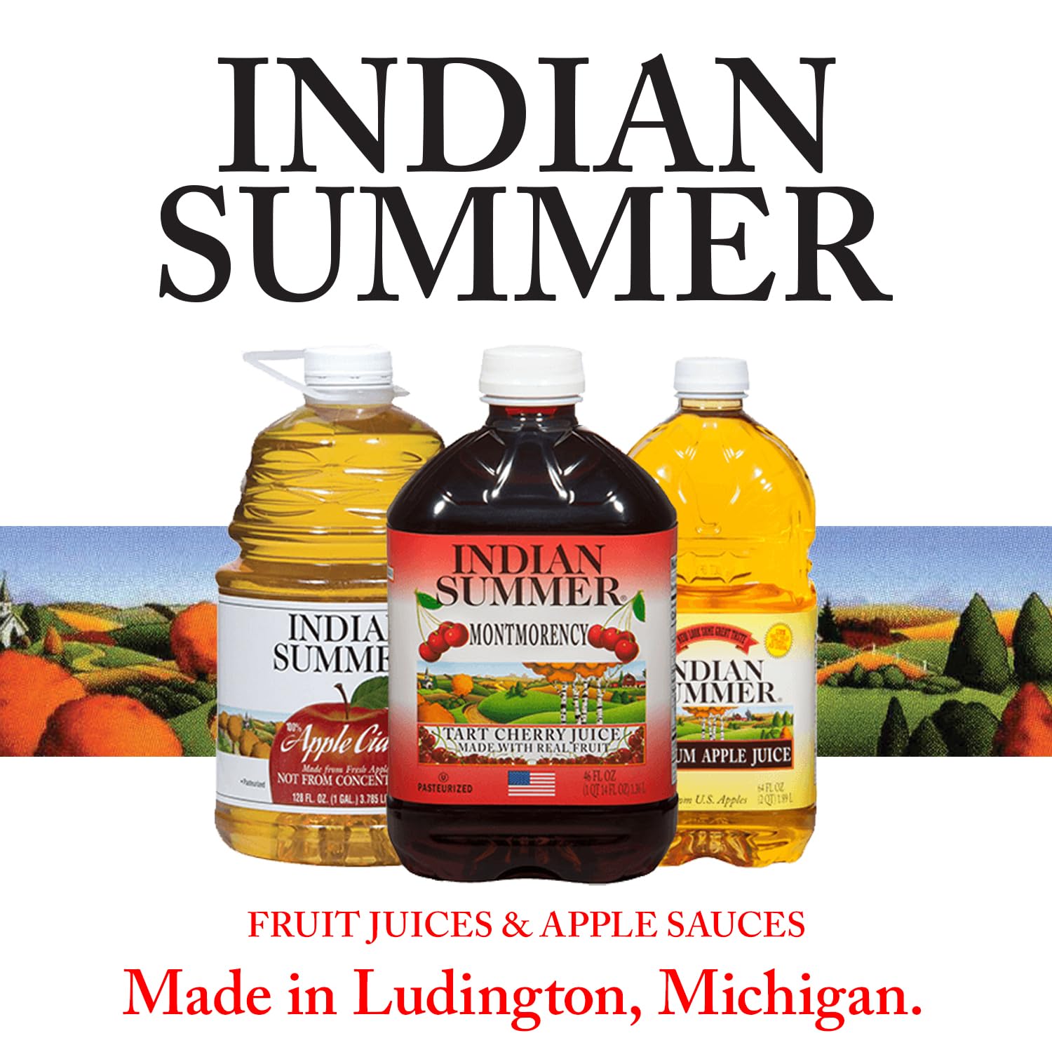 INDIAN SUMMER picnic scene with applesauce offering family snack versatility