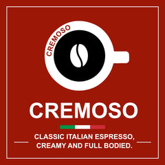 Italian Coffee For Espresso Lovers crema detail on espresso surface showing full-bodied texture
