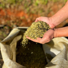 Itapuã Centenaria 1 kg bag beside common objects showing generous size and value