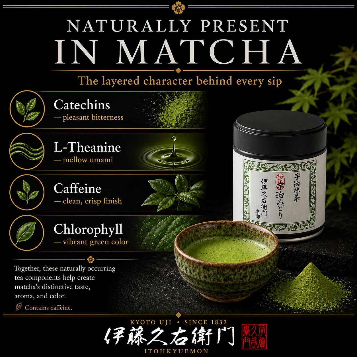 ITOHKYUEMON tin held in hand showing compact 20 g size and travel convenience