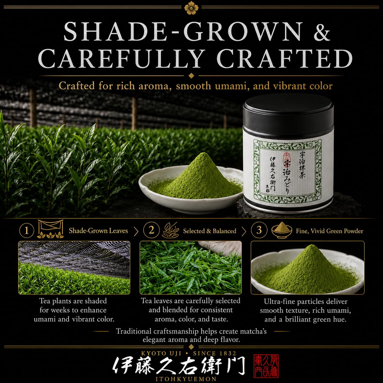 ITOHKYUEMON matcha macarons arranged on plate showing authentic baking color