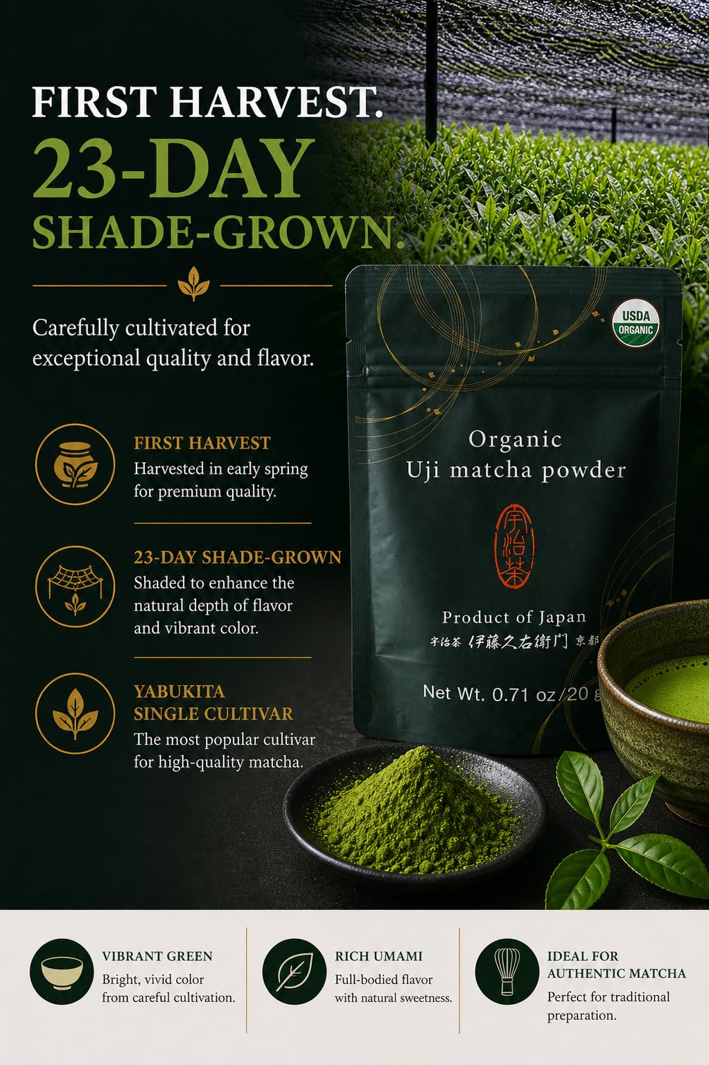 ITOHKYUEMON creamy matcha latte in glass highlighting bright color and taste