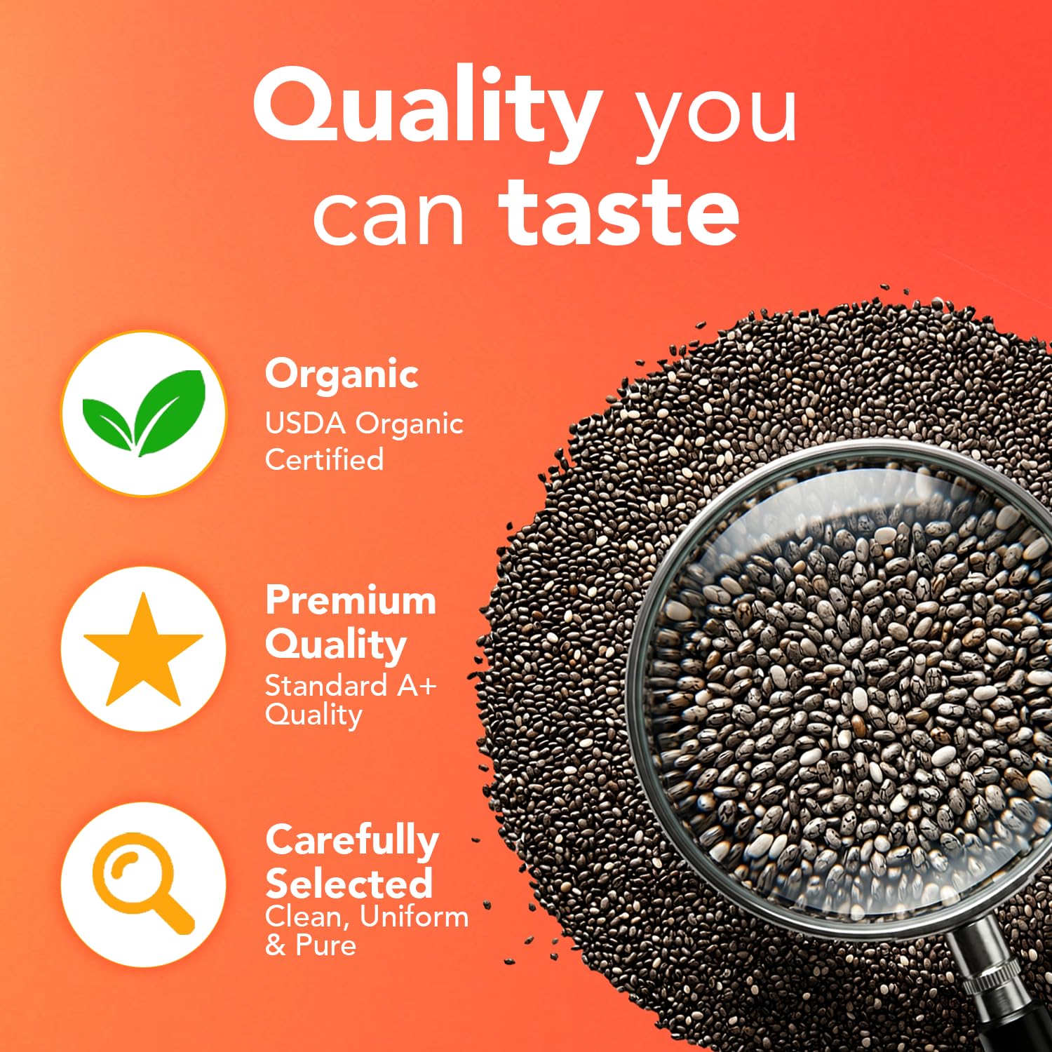 It's Good Energy chia pudding served in glass illustrating versatility