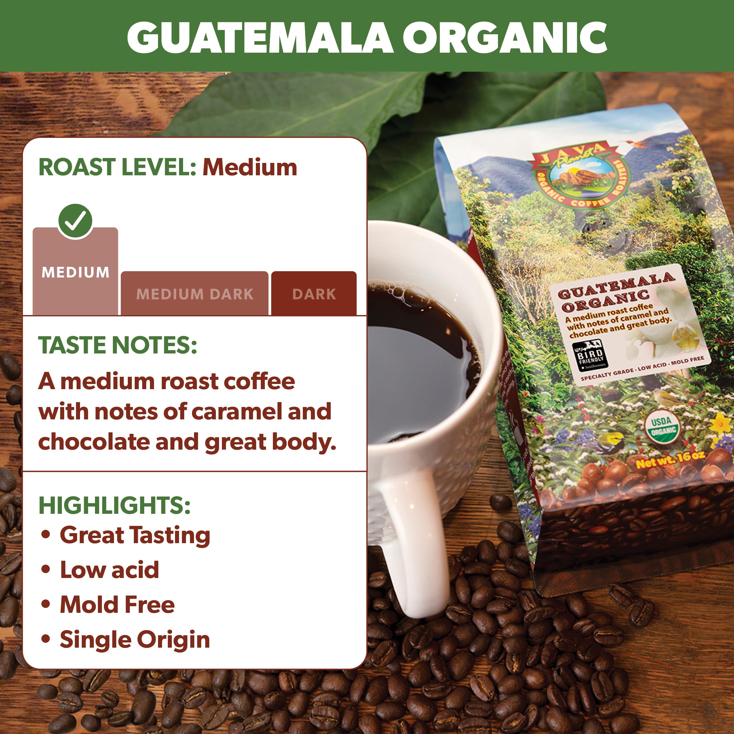 Java Planet beans in hand to show scale and bean size for freshness