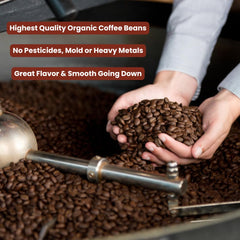 Java Planet close-up of whole beans highlighting smooth low-acid texture