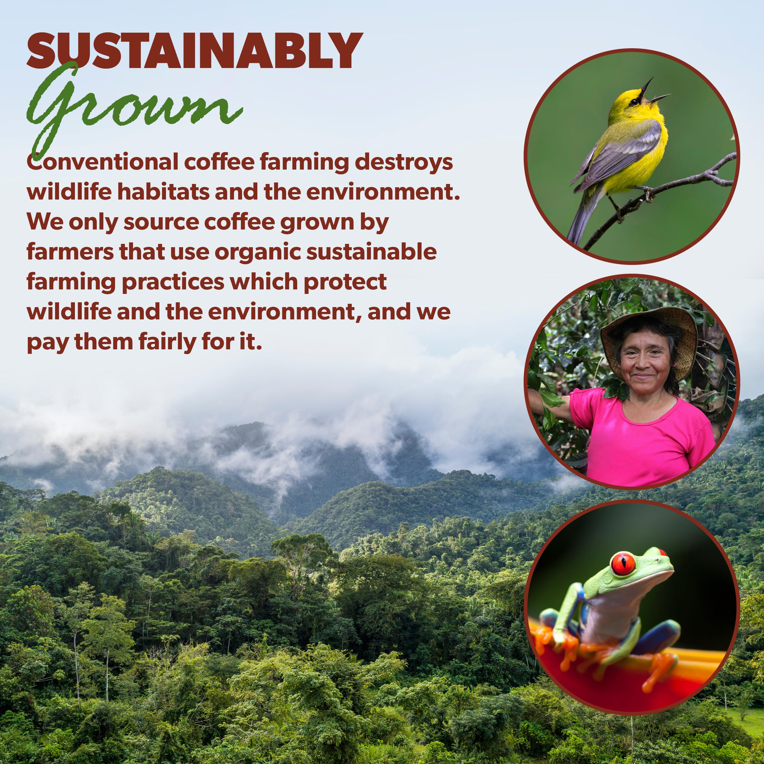 Java Planet bag label with Fair Trade and Organic seals indicating ethical sourcing