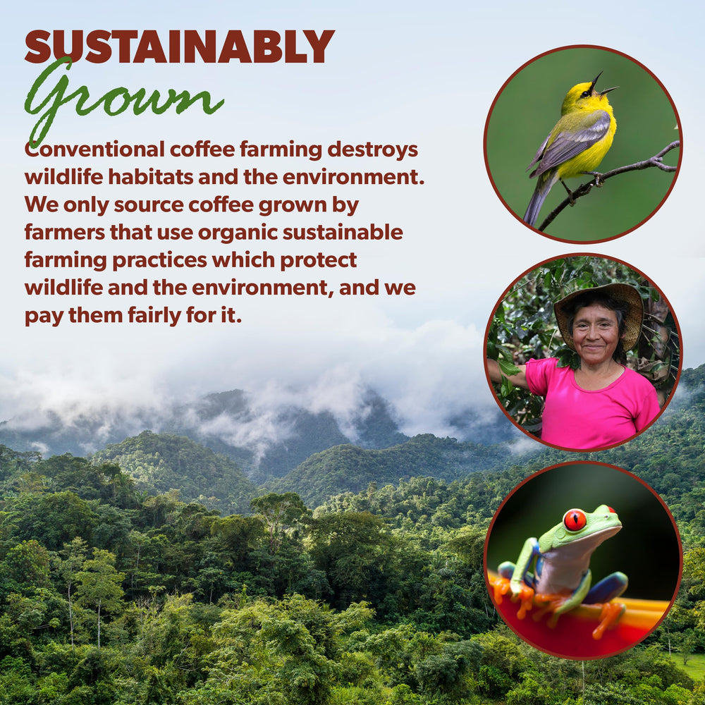 Java Planet 16 oz bag next to measuring scale for clear portion size