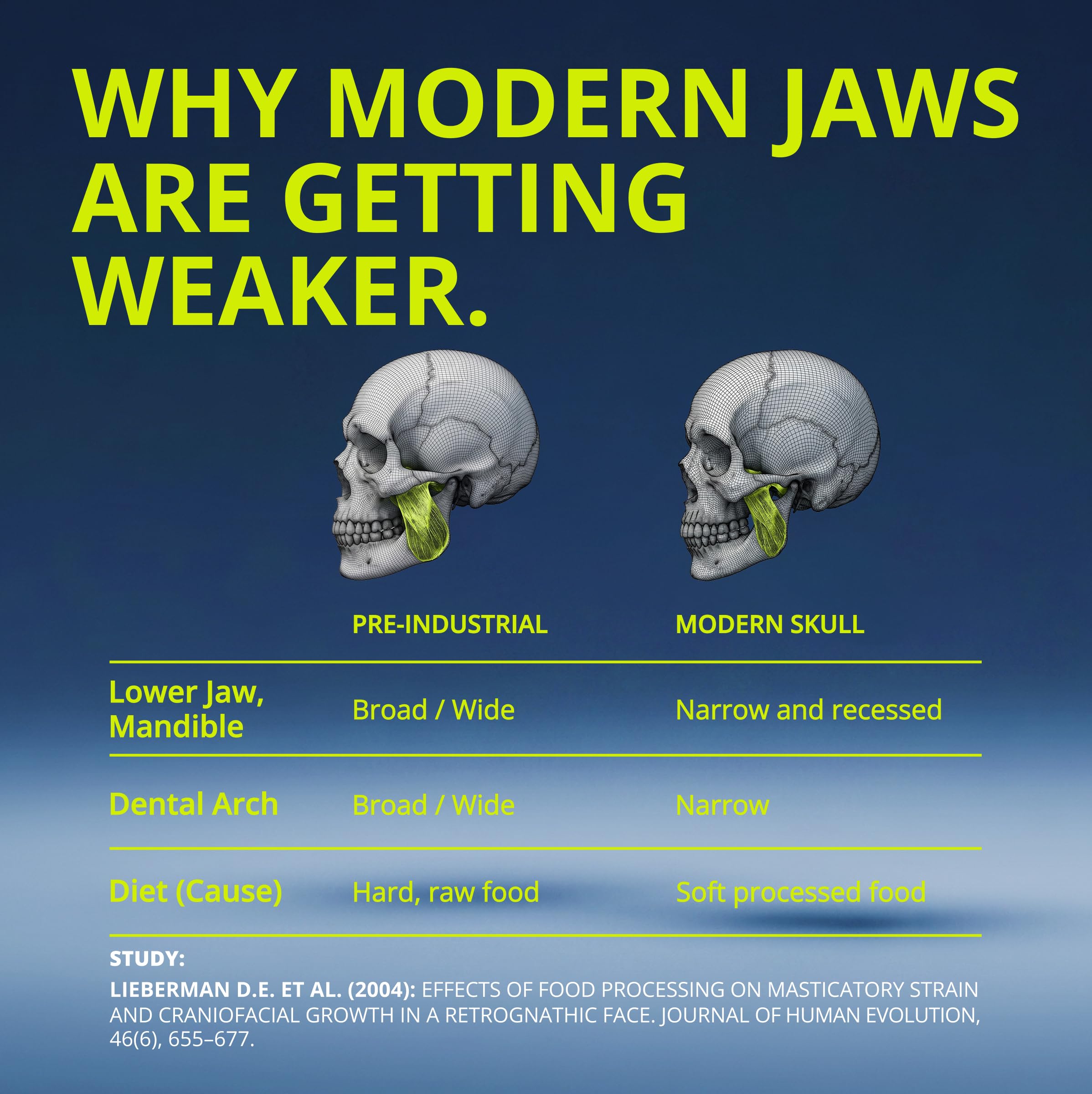 Jawliner gum in a gym setting suggesting integration into fitness routine
