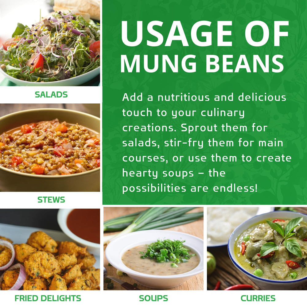 Jiva Organics beans in a bowl ready to cook showcasing versatility and easy meal prep benefit