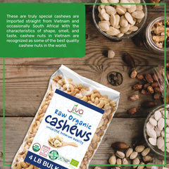 Jiva Organics cashew texture detail showing natural buttery appearance benefit