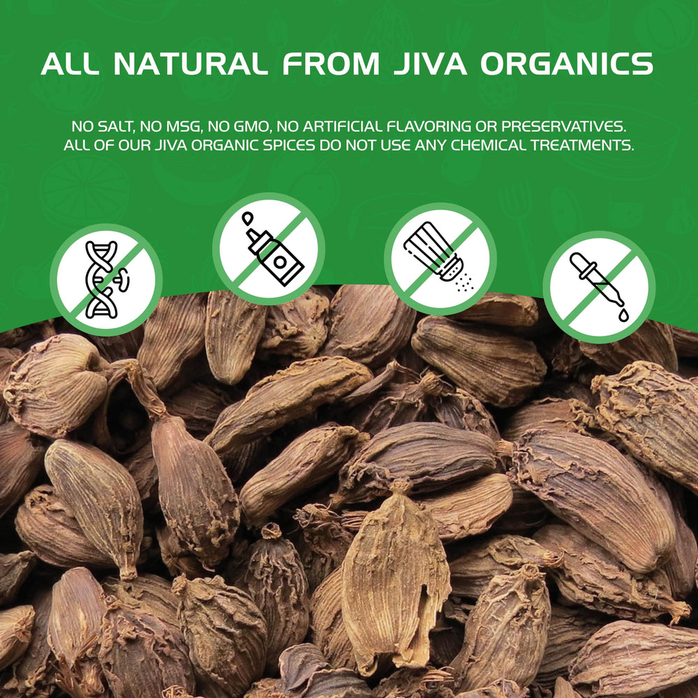 Jiva Organics beside a ruler showing pod size for portion planning