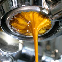 Jo Coffee whole bean close-up highlighting roast color and rich texture