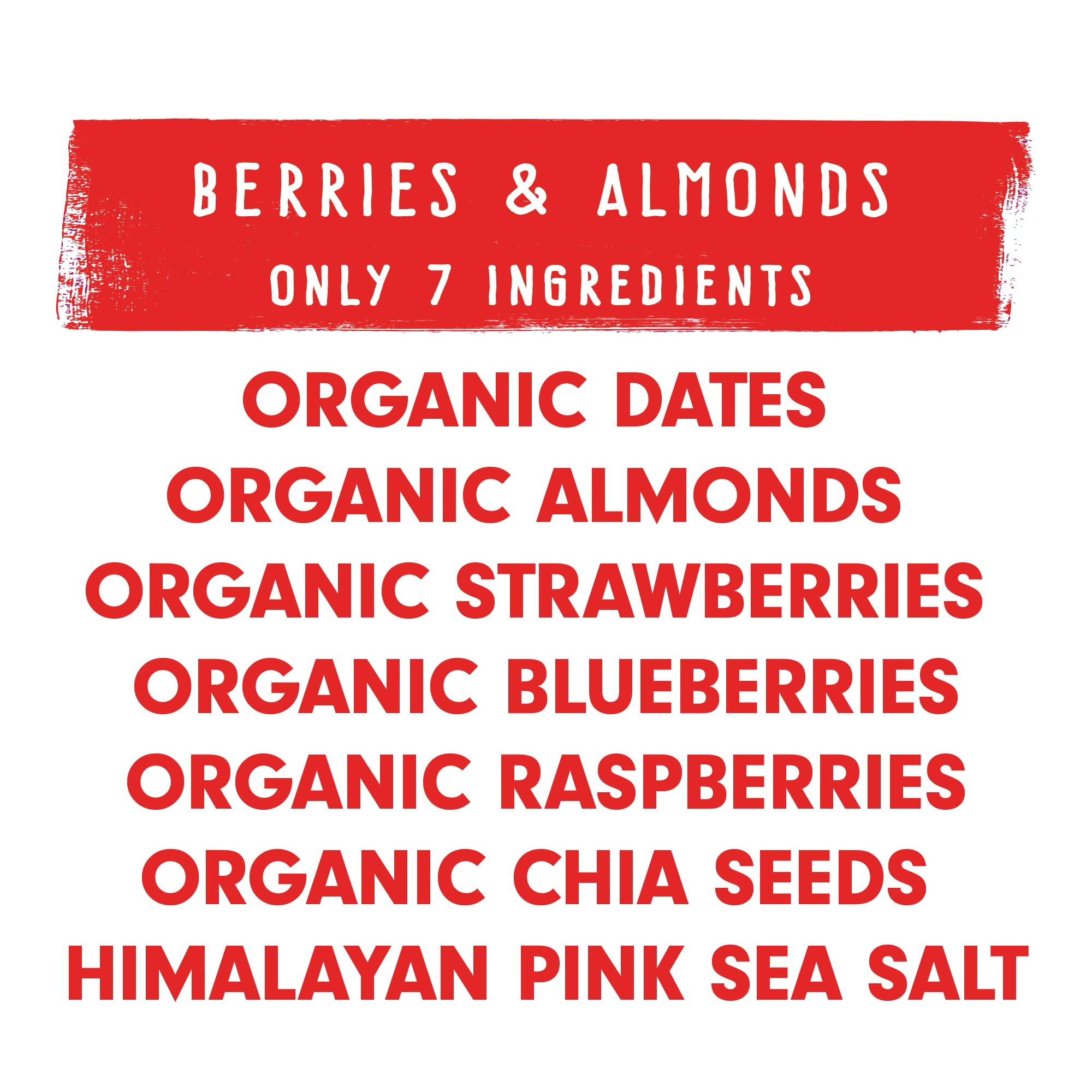jonesbar tucked in a lunchbox with fruit, ideal family-friendly organic snack option