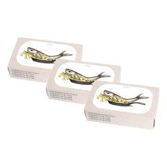 JOSE Gourmet front tin view showing label art and ready-to-serve sardines