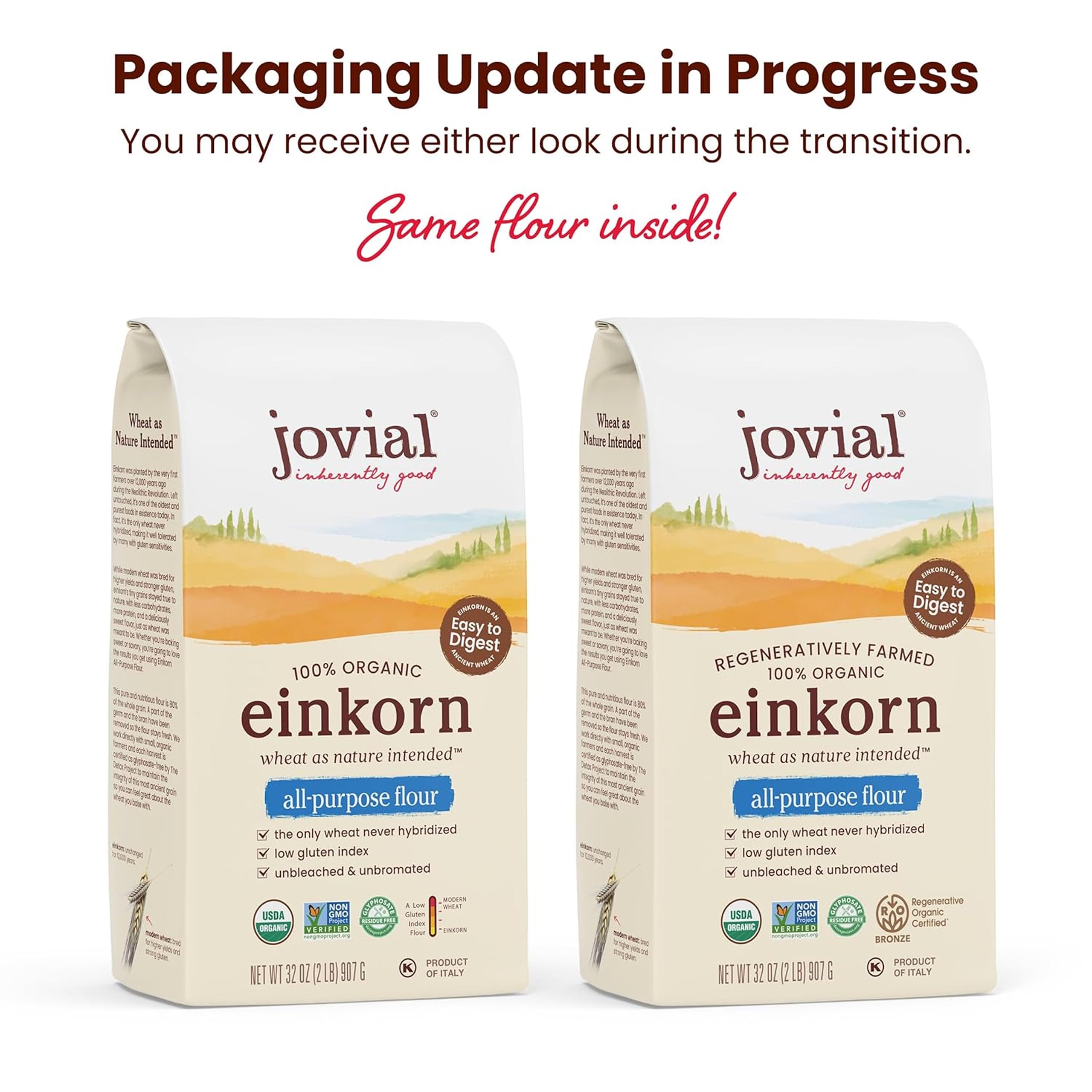 Jovial close-up of einkorn flour texture showing fine grain and baking consistency